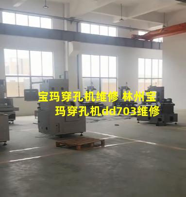 宝玛穿孔机维修 林州宝玛穿孔机dd703维修